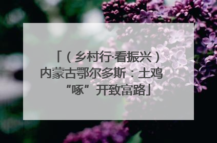 （乡村行·看振兴）内蒙古鄂尔多斯：土鸡“啄”开致富路