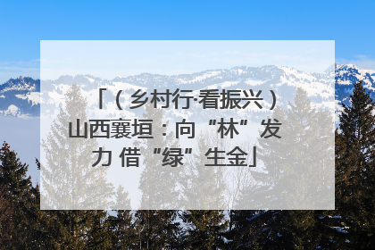 （乡村行·看振兴）山西襄垣：向“林”发力 借“绿”生金