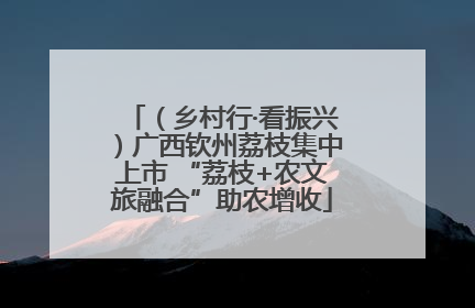（乡村行·看振兴）广西钦州荔枝集中上市 “荔枝+农文旅融合”助农增收