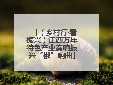 （乡村行·看振兴）江西万年特色产业奏响振兴“椒”响曲