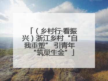 （乡村行·看振兴）浙江乡村“自我重塑” 引青年“筑巢生金”
