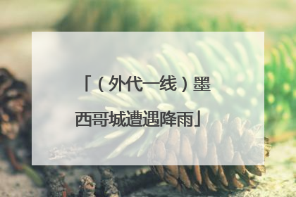 （外代一线）墨西哥城遭遇降雨