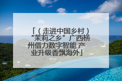 （走进中国乡村）“茉莉之乡”广西横州借力数字智能 产业升级香飘海外