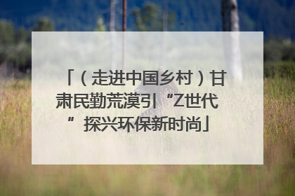（走进中国乡村）甘肃民勤荒漠引“Z世代”探兴环保新时尚