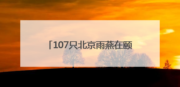107只北京雨燕在颐和园完成年度“体检”