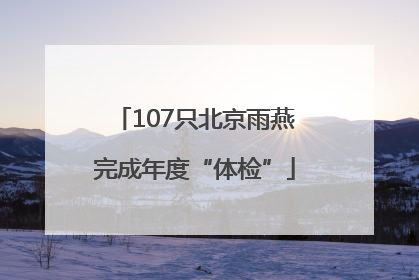 107只北京雨燕完成年度“体检”