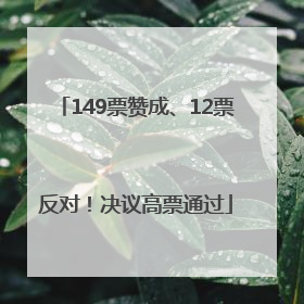 149票赞成、12票反对！决议高票通过