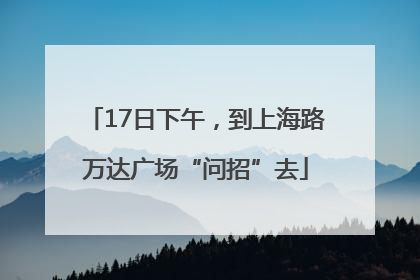 17日下午，到上海路万达广场“问招”去