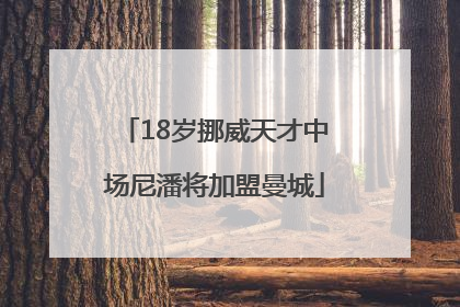 18岁挪威天才中场尼潘将加盟曼城