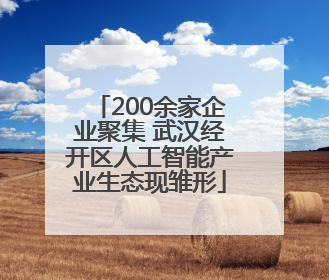 200余家企业聚集 武汉经开区人工智能产业生态现雏形