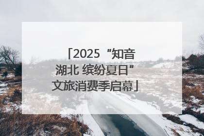 2025“知音湖北 缤纷夏日”文旅消费季启幕
