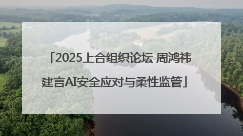 2025上合组织论坛 周鸿祎建言AI安全应对与柔性监管