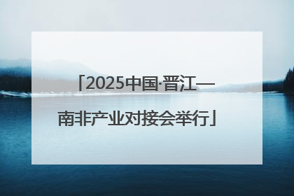 2025中国·晋江—南非产业对接会举行