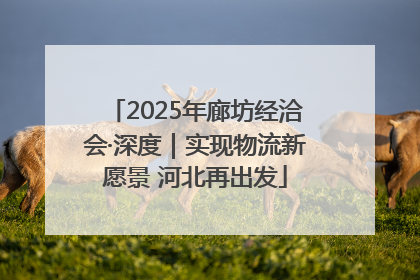 2025年廊坊经洽会·深度｜实现物流新愿景 河北再出发