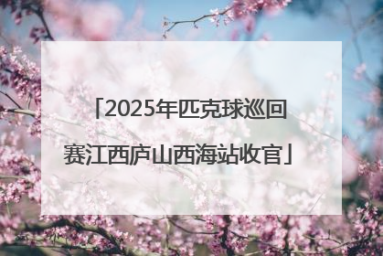 2025年匹克球巡回赛江西庐山西海站收官