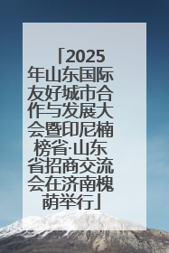 2025年山东国际友好城市合作与发展大会暨印尼楠榜省·山东省招商交流会在济南槐荫举行
