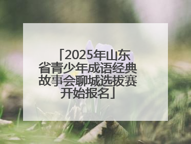 2025年山东省青少年成语经典故事会聊城选拔赛开始报名