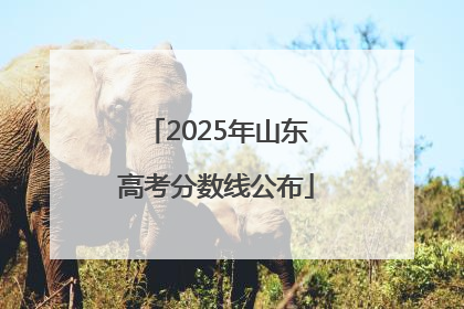 2025年山东高考分数线公布