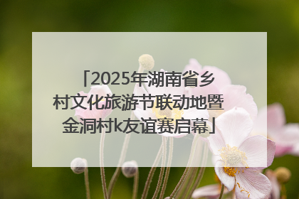 2025年湖南省乡村文化旅游节联动地暨金洞村k友谊赛启幕