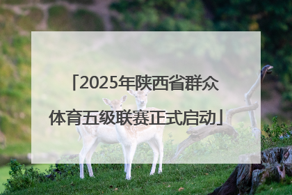 2025年陕西省群众体育五级联赛正式启动