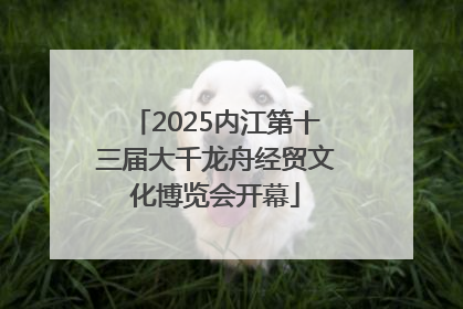 2025内江第十三届大千龙舟经贸文化博览会开幕