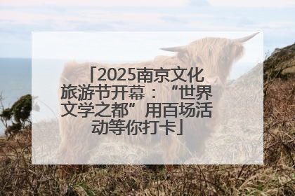 2025南京文化旅游节开幕：“世界文学之都”用百场活动等你打卡