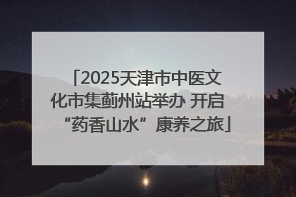 2025天津市中医文化市集蓟州站举办 开启“药香山水”康养之旅