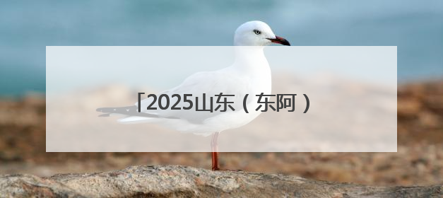 2025山东（东阿）中医药文化旅游体验周启动，开启健康新篇章