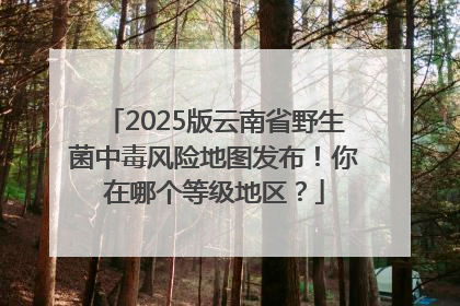 2025版云南省野生菌中毒风险地图发布！你在哪个等级地区？