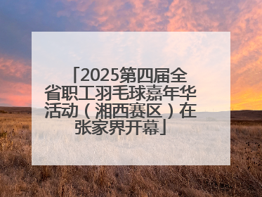 2025第四届全省职工羽毛球嘉年华活动（湘西赛区）在张家界开幕