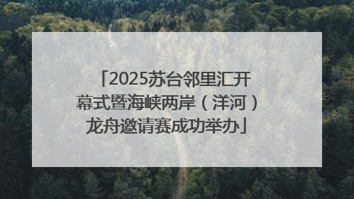 2025苏台邻里汇开幕式暨海峡两岸（洋河）龙舟邀请赛成功举办