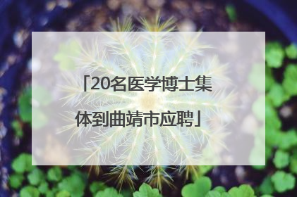 20名医学博士集体到曲靖市应聘