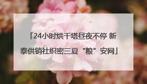 24小时烘干塔昼夜不停 新泰供销社织密三夏“粮”安网