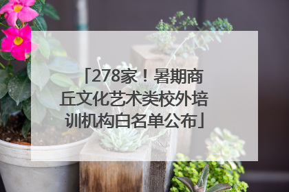 278家！暑期商丘文化艺术类校外培训机构白名单公布