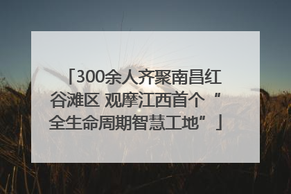 300余人齐聚南昌红谷滩区 观摩江西首个“全生命周期智慧工地”