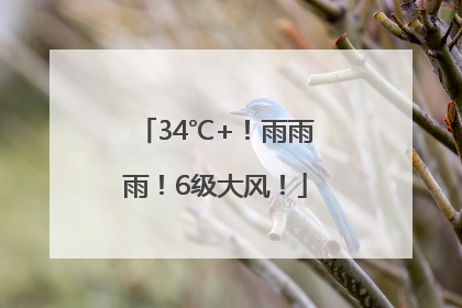 34℃+！雨雨雨！6级大风！