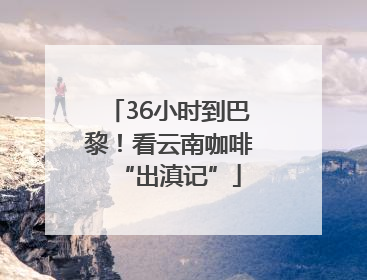 36小时到巴黎！看云南咖啡“出滇记”
