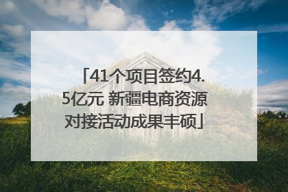 41个项目签约4.5亿元 新疆电商资源对接活动成果丰硕