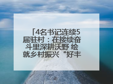4名书记连续5届驻村：在接续奋斗里深耕沃野 绘就乡村振兴“好丰景”——浦发银行南京分行助力脱贫攻坚、帮促乡村振兴记事（二）