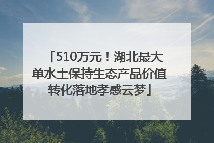 510万元！湖北最大单水土保持生态产品价值转化落地孝感云梦