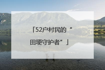 52户村民的“田埂守护者”