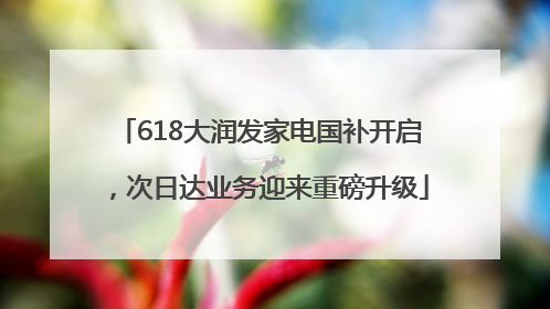618大润发家电国补开启，次日达业务迎来重磅升级