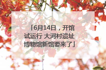 6月14日，开馆试运行 大河村遗址博物馆新馆要来了