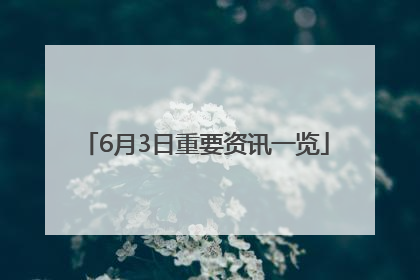 6月3日重要资讯一览