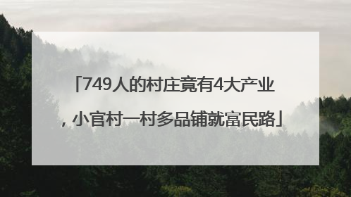 749人的村庄竟有4大产业，小官村一村多品铺就富民路