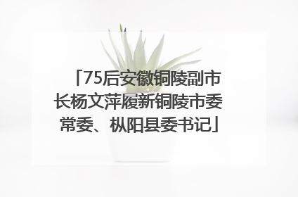 75后安徽铜陵副市长杨文萍履新铜陵市委常委、枞阳县委书记