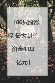 86只股涨停 最大封单资金4.03亿元