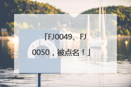 FJ0049、FJ0050，被点名！