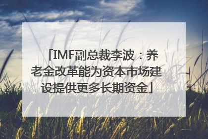 IMF副总裁李波：养老金改革能为资本市场建设提供更多长期资金